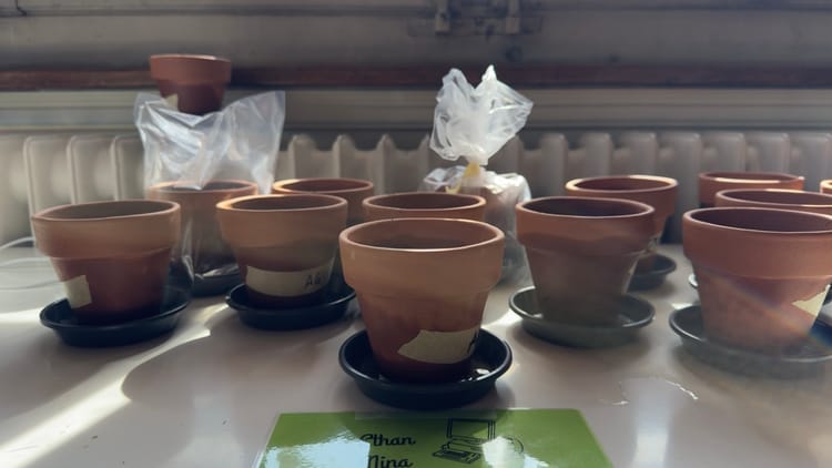 Hypothèses & plantations