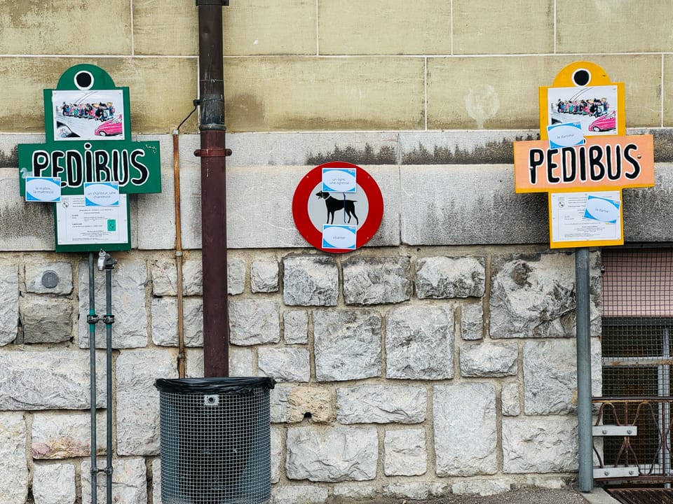 Découverte des mots de vocabulaire orthographique